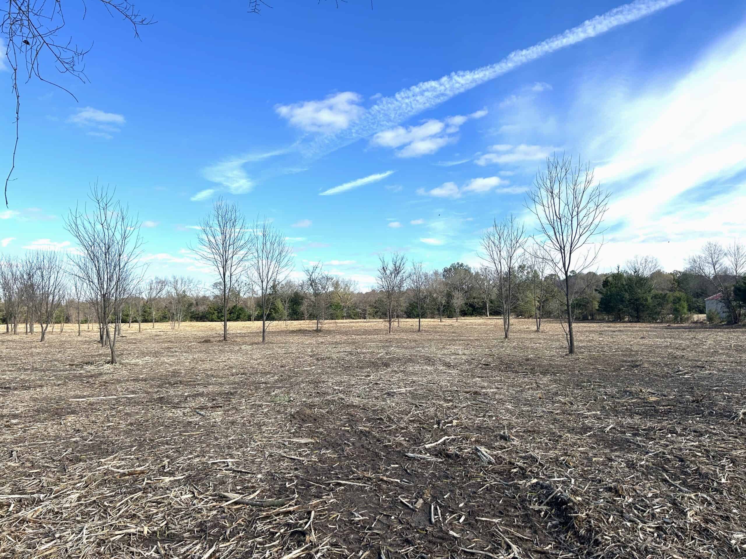 Private Unrestricted Land Near Paris, TX – With Electric