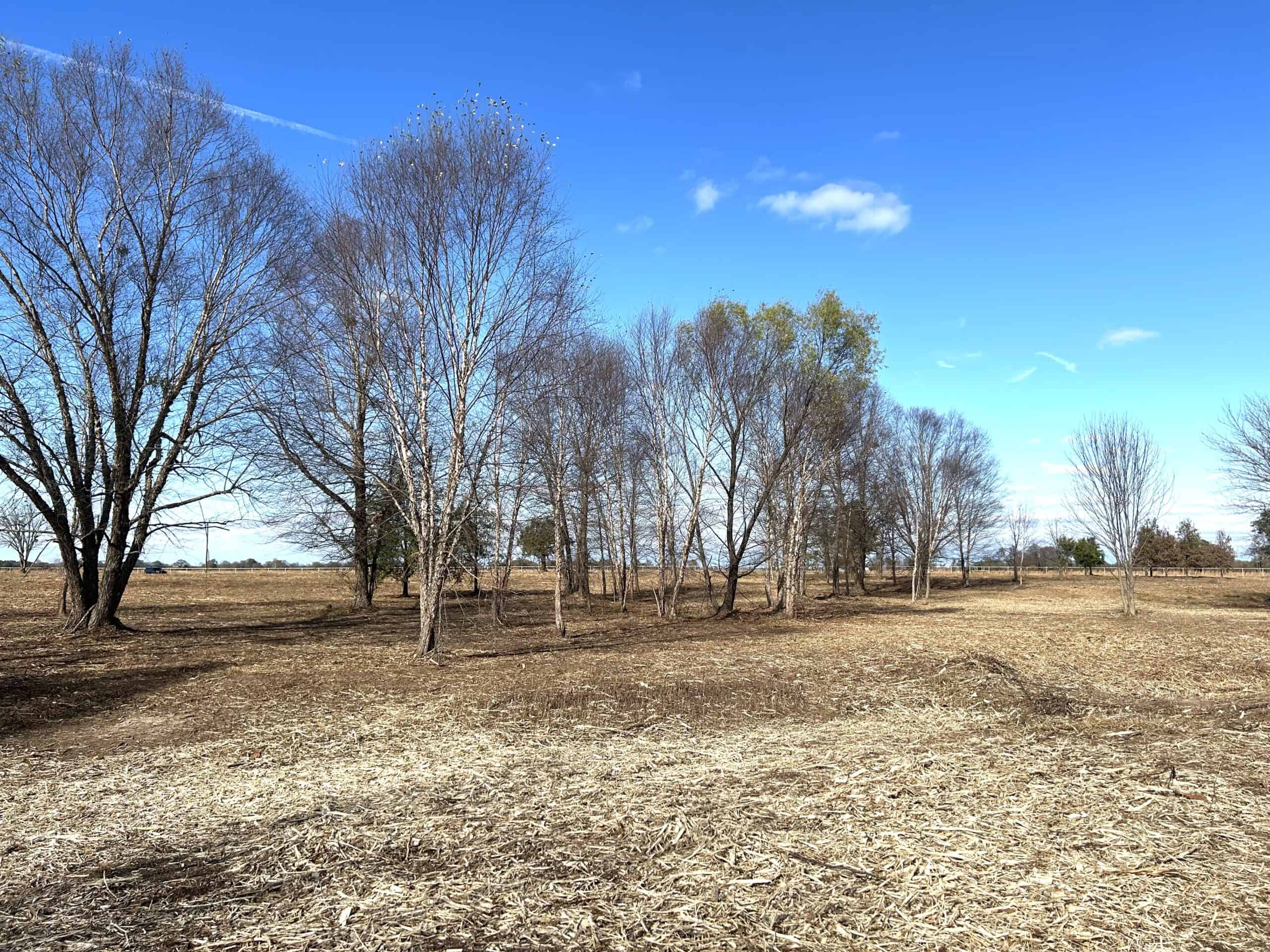 Private Unrestricted Land Near Paris, TX – With Electric