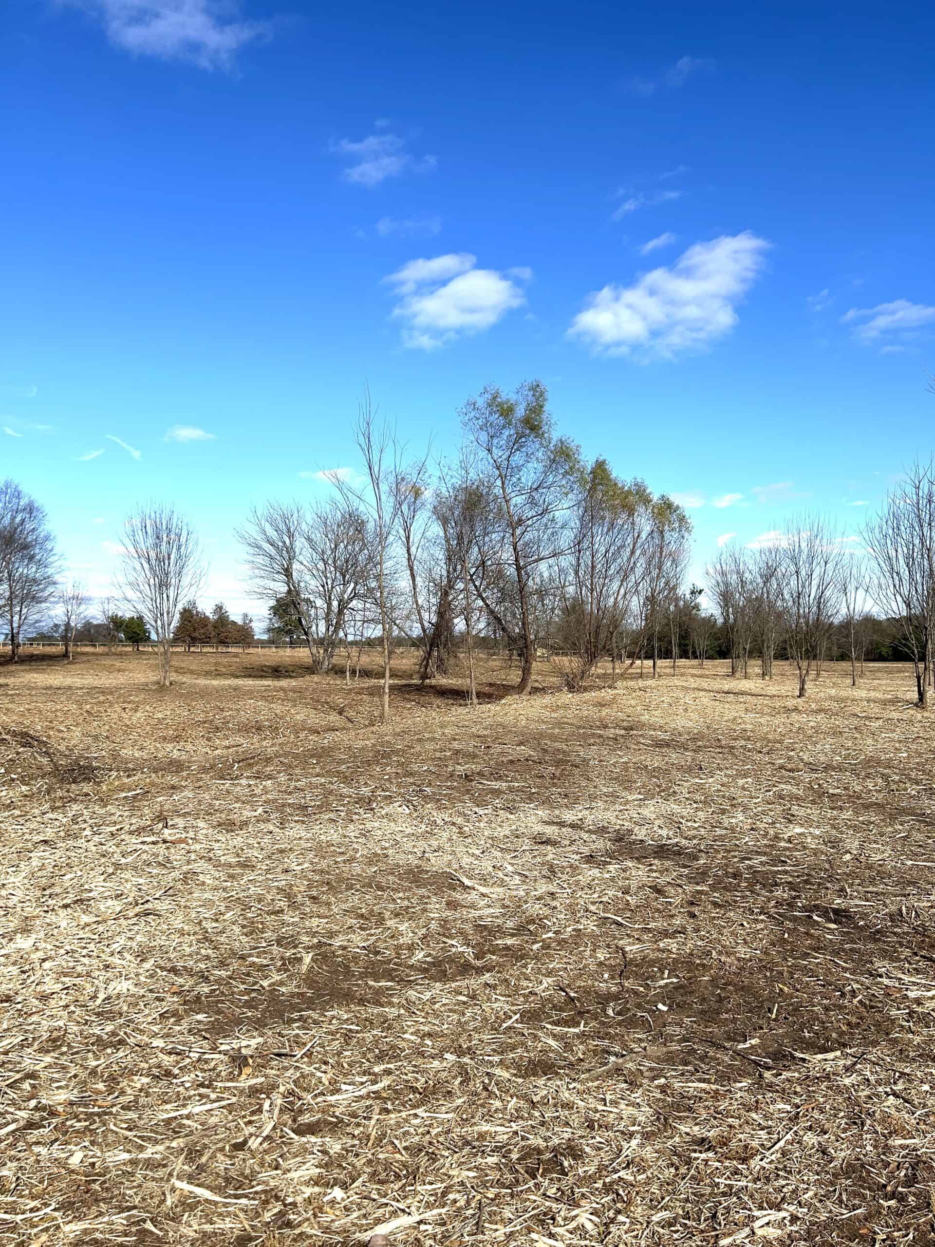 Private Unrestricted Land Near Paris, TX – With Electric