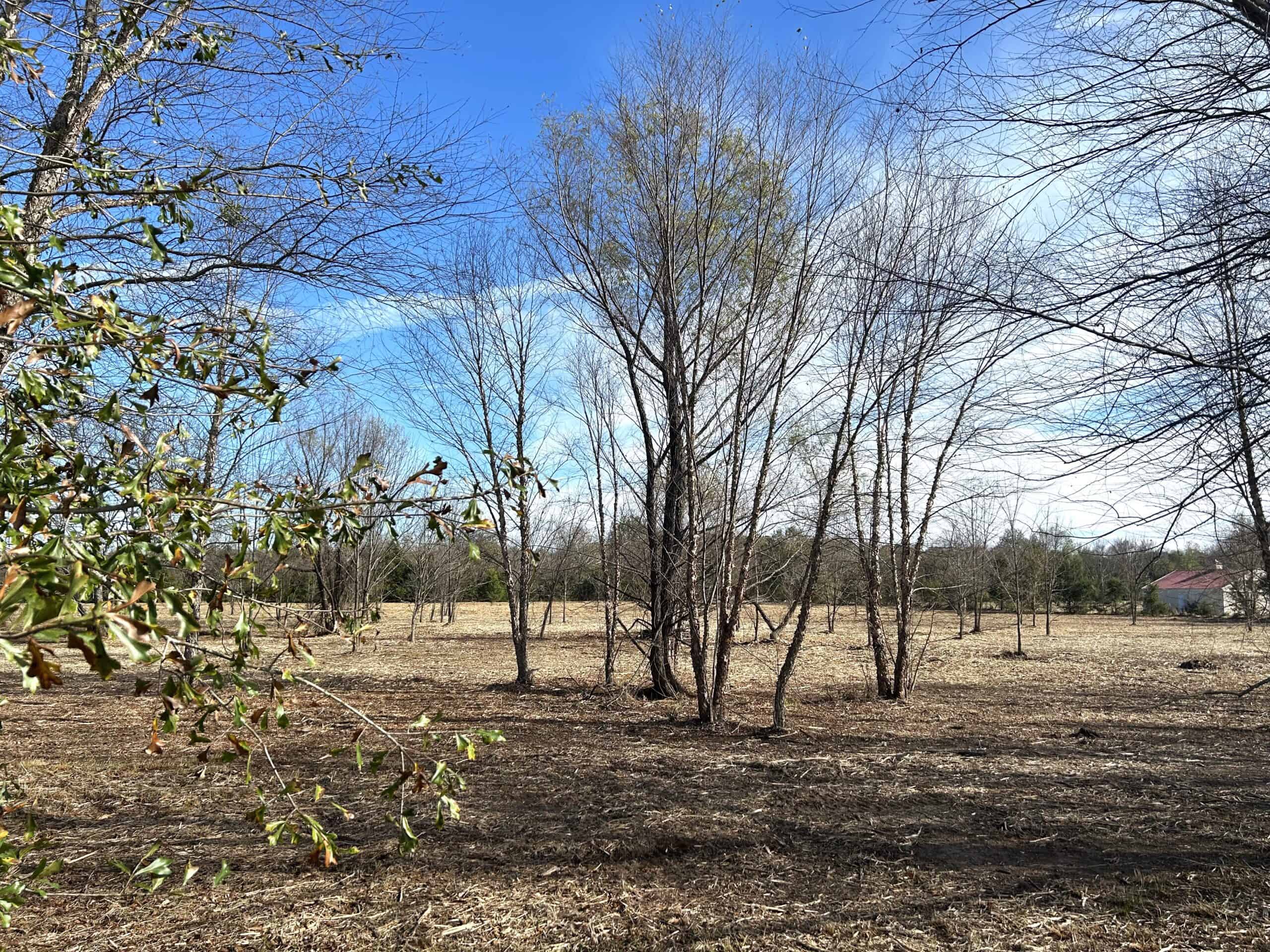 Private Unrestricted Land Near Paris, TX – With Electric