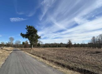 Private Unrestricted Land Near Paris, TX – With Electric
