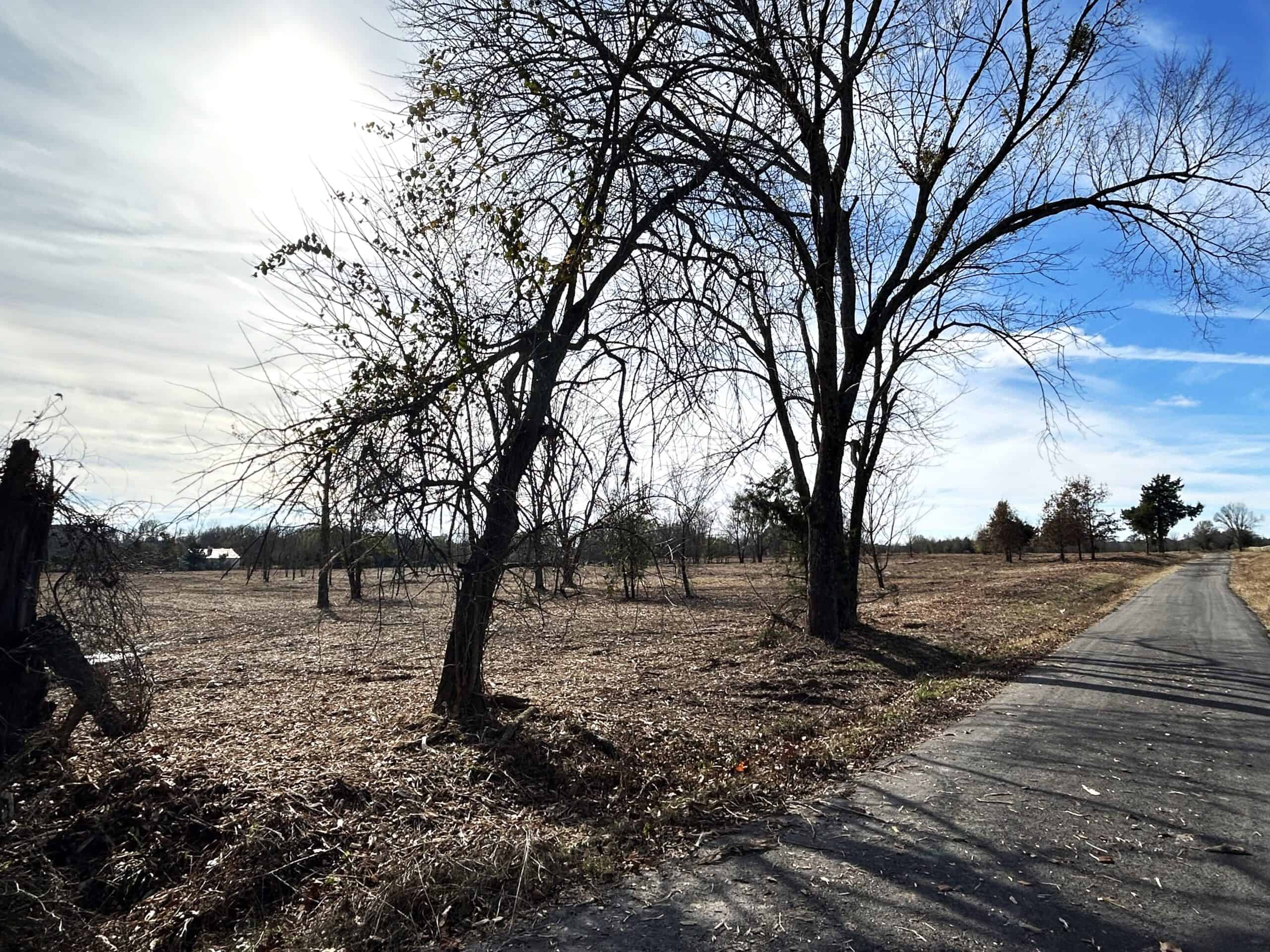 Private Unrestricted Land Near Paris, TX – With Electric