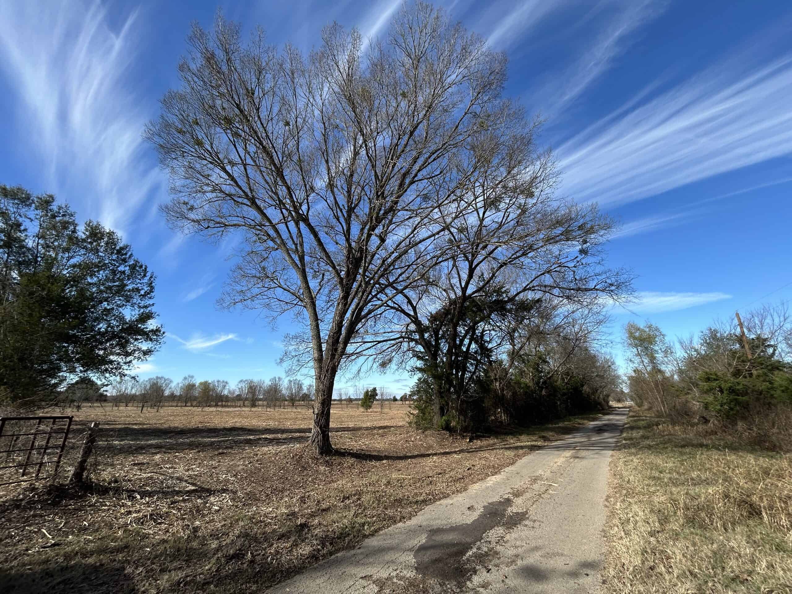 Private Unrestricted Land Near Paris, TX – With Electric