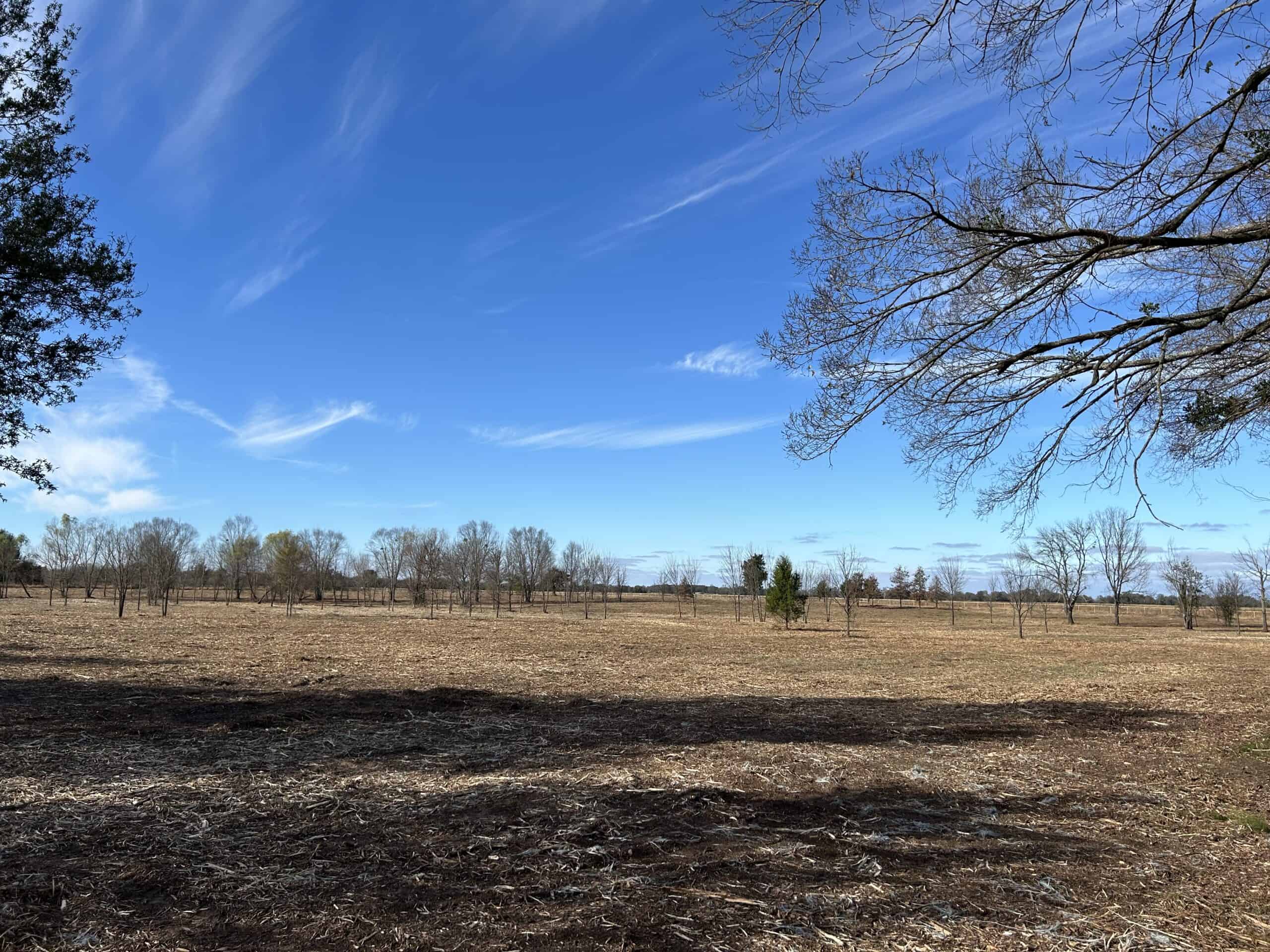 Private Unrestricted Land Near Paris, TX – With Electric