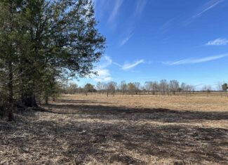 Private Unrestricted Land Near Paris, TX – With Electric