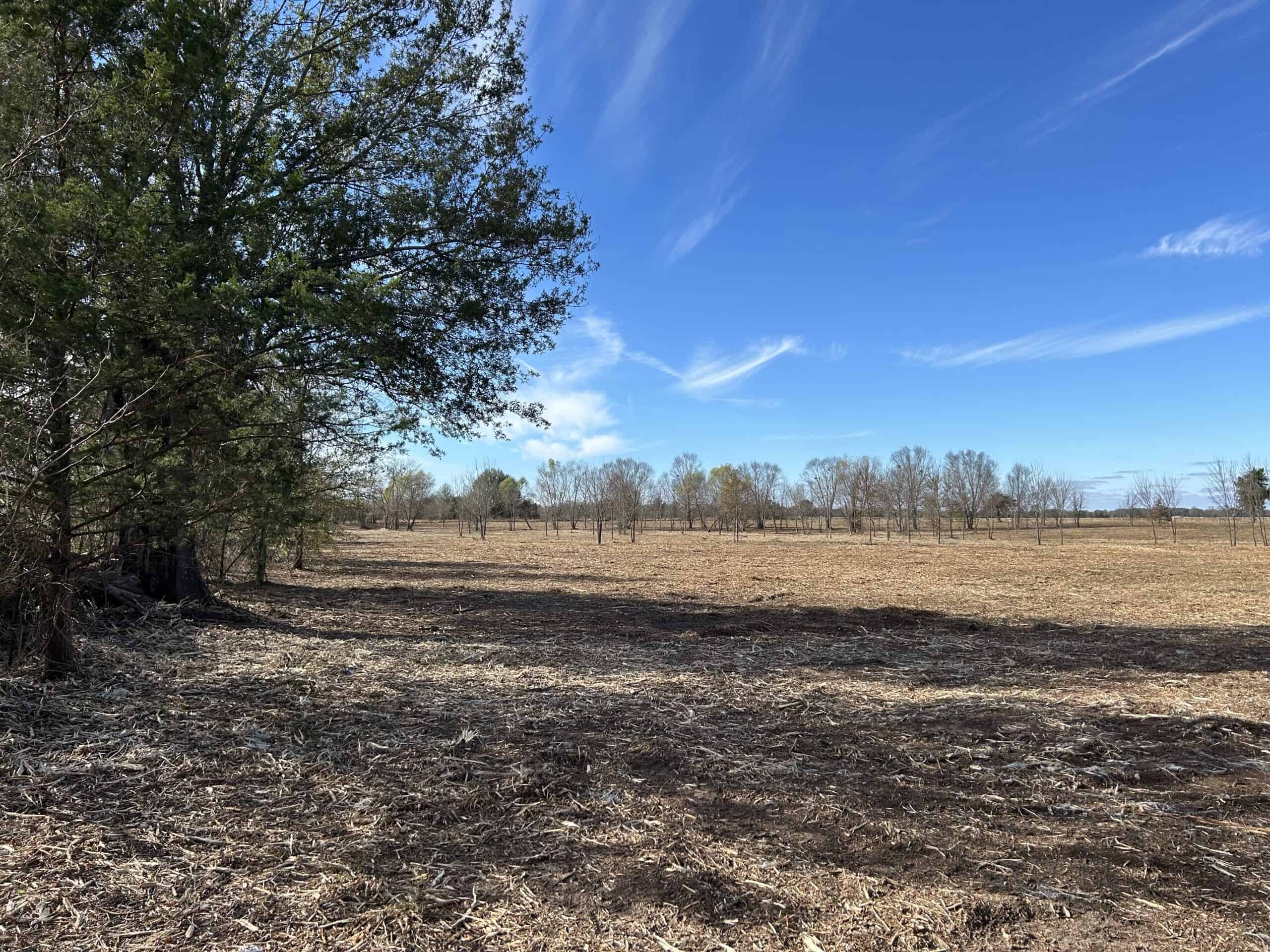 Private Unrestricted Land Near Paris, TX – With Electric