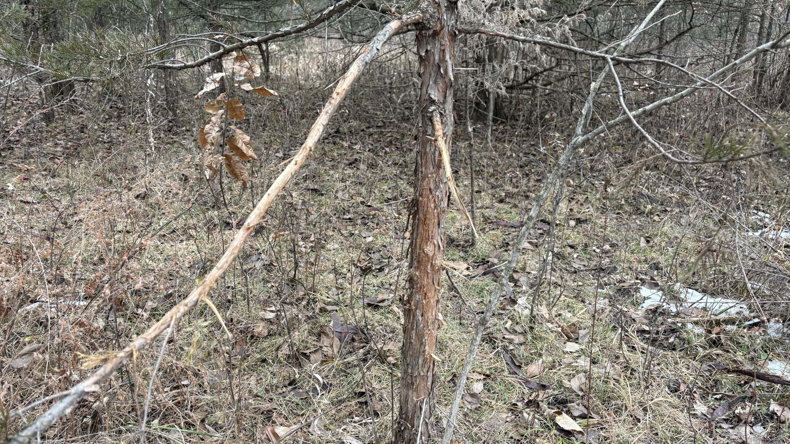 NW MO Hunting Paradise For Sale