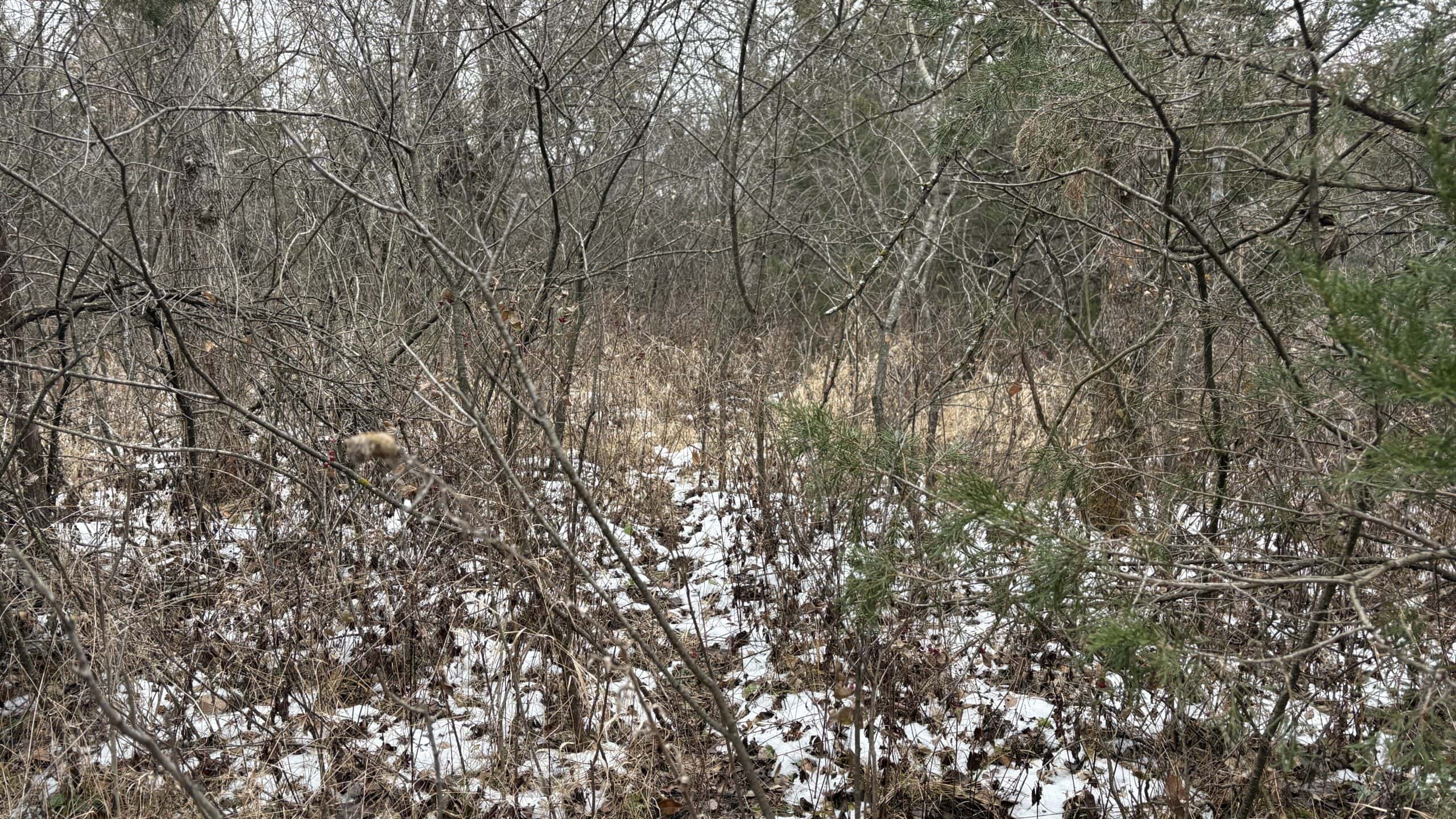 NW MO Hunting Paradise For Sale