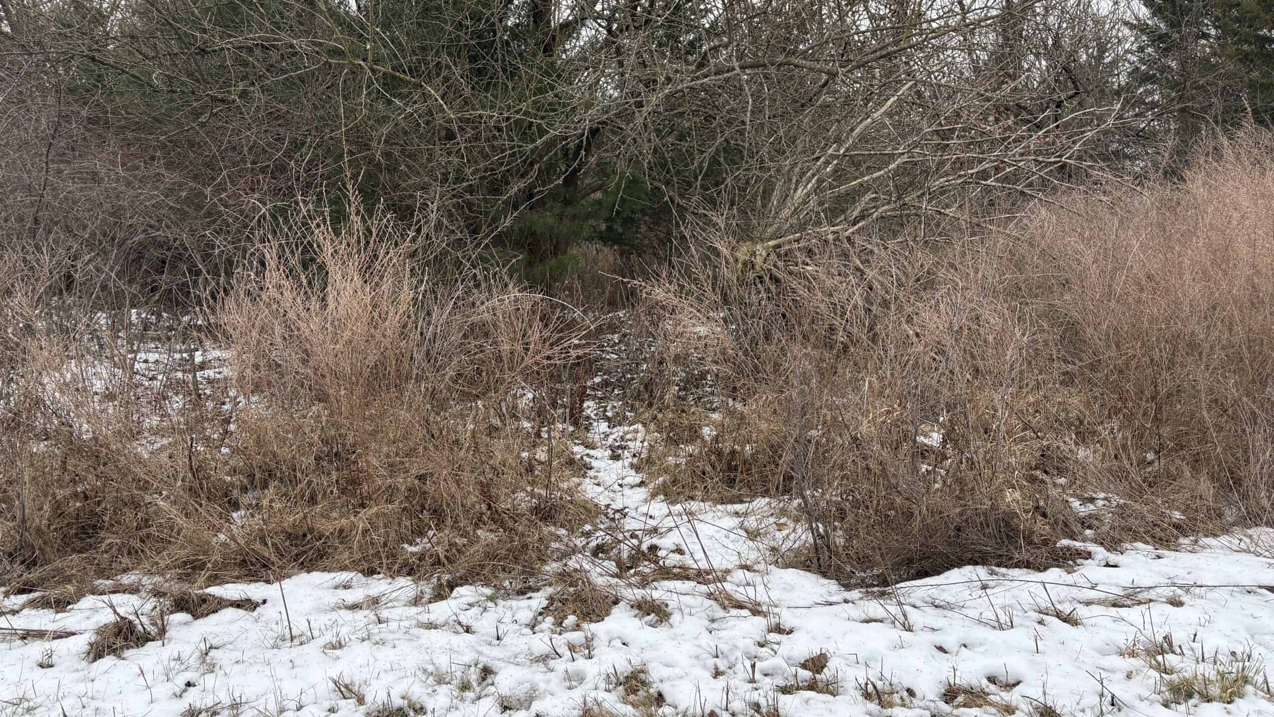 NW MO Hunting Paradise For Sale