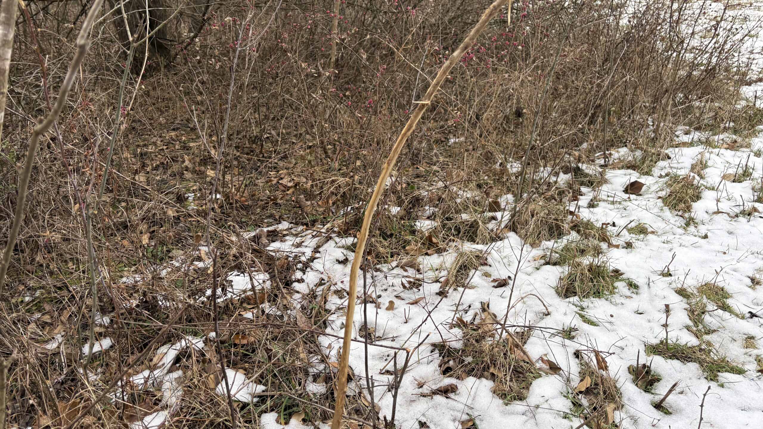 NW MO Hunting Paradise For Sale