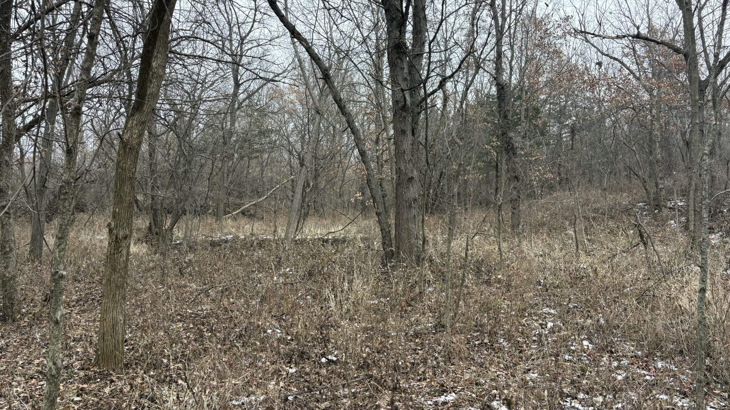NW MO Hunting Paradise For Sale