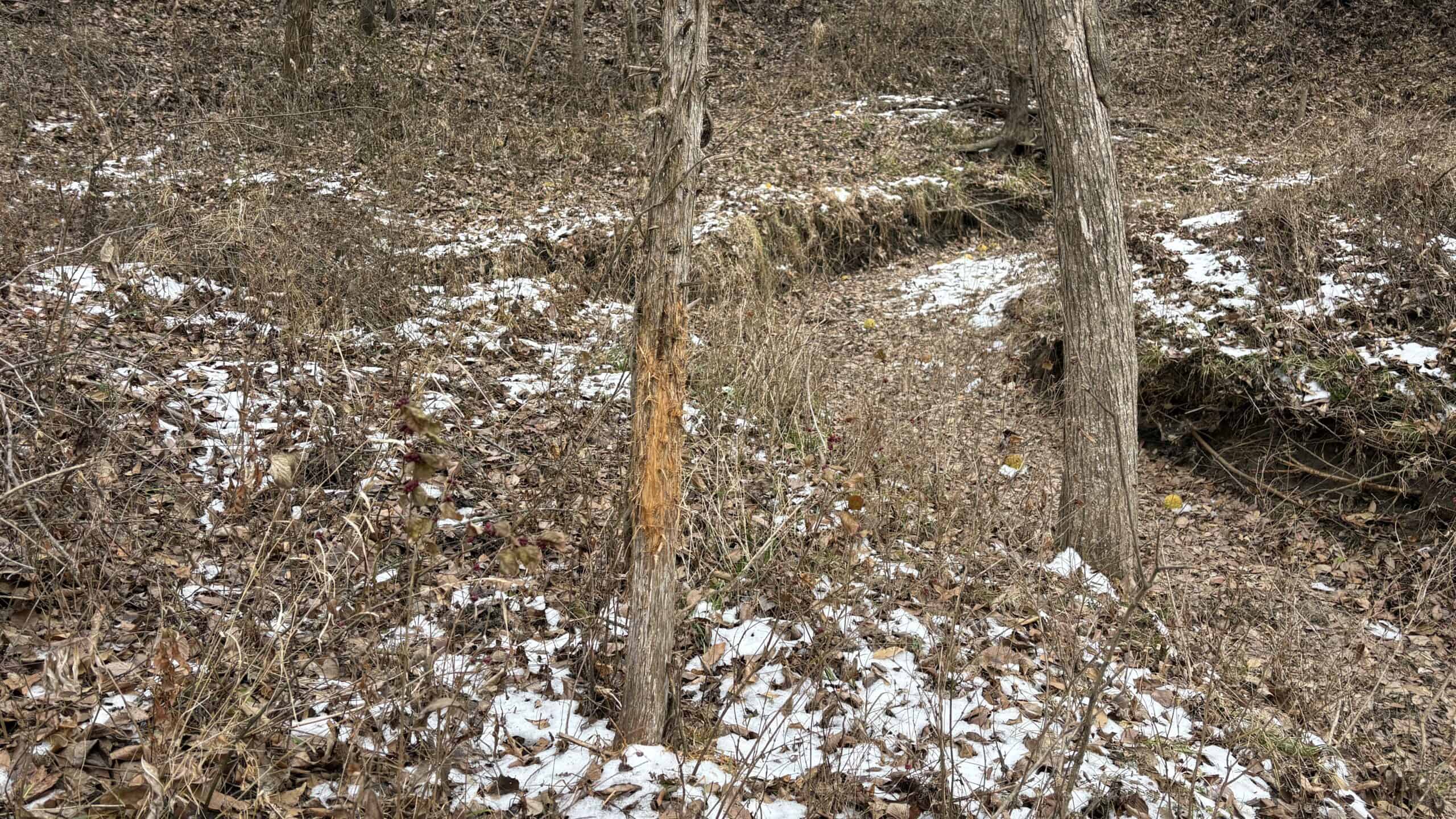 NW MO Hunting Paradise For Sale