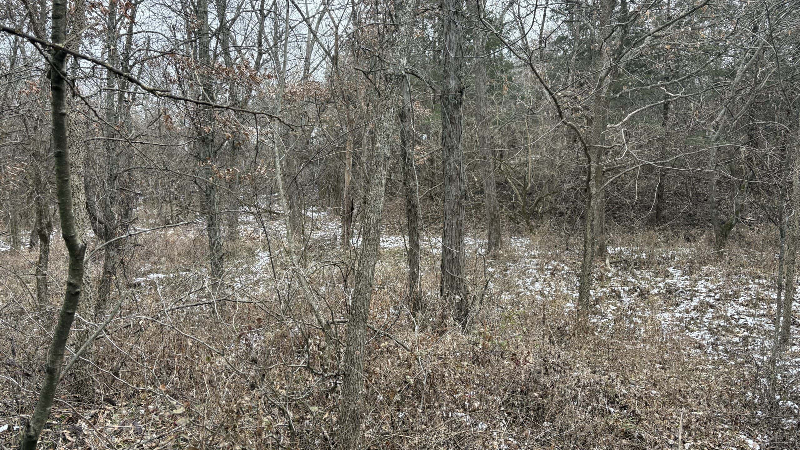 NW MO Hunting Paradise For Sale