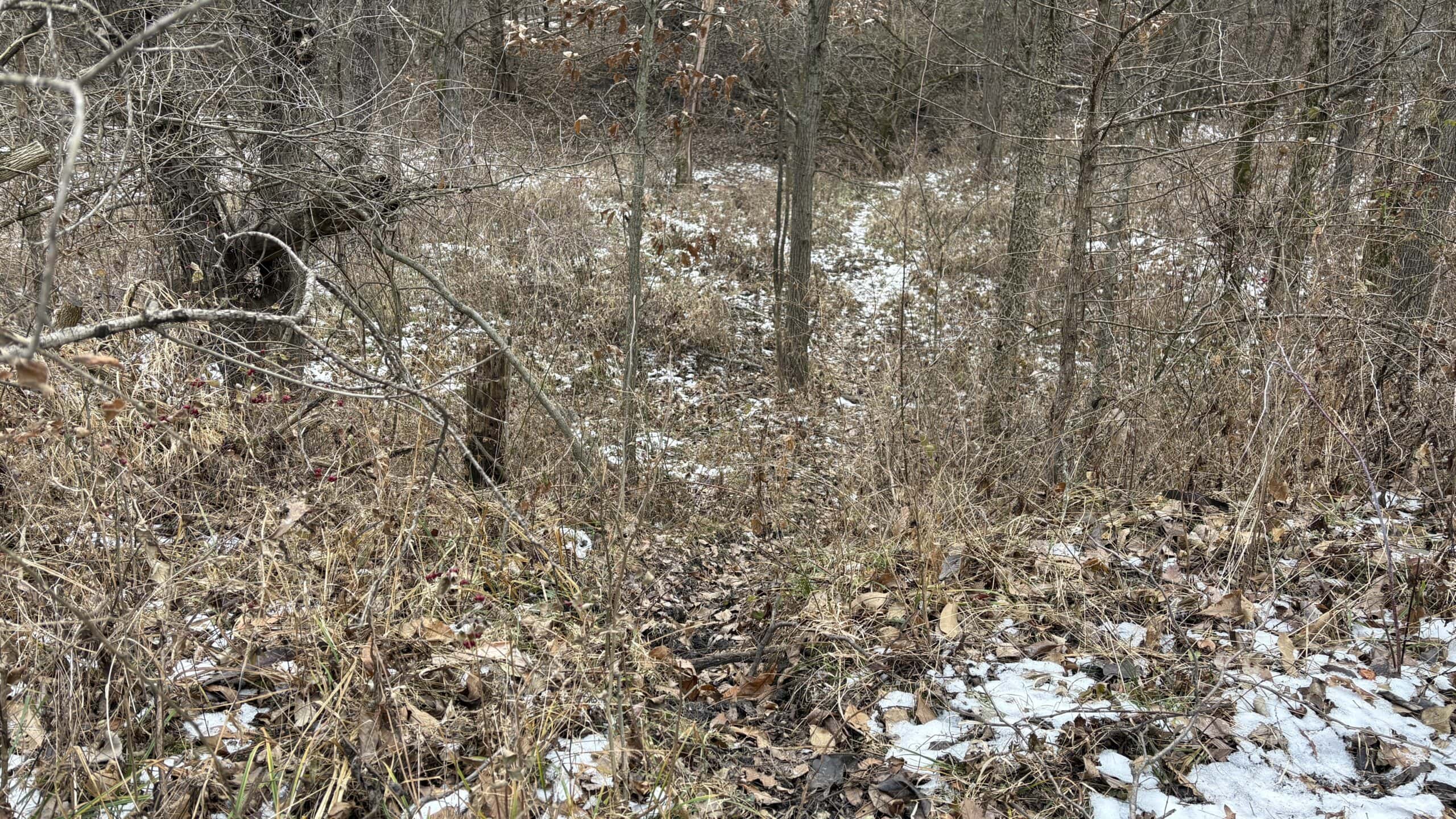 NW MO Hunting Paradise For Sale