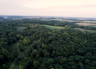 135.5 ± Acres | Income-Producing Investment & Proven Trophy Whitetail Hunting | Mahaska County, Iowa