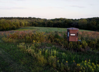 135.5 ± Acres | Income-Producing Investment & Proven Trophy Whitetail Hunting | Mahaska County, Iowa