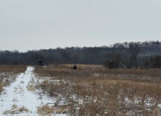135.5 ± Acres | Income-Producing Investment & Proven Trophy Whitetail Hunting | Mahaska County, Iowa