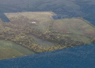 135.5 ± Acres | Income-Producing Investment & Proven Trophy Whitetail Hunting | Mahaska County, Iowa