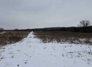 135.5 ± Acres | Income-Producing Investment & Proven Trophy Whitetail Hunting | Mahaska County, Iowa