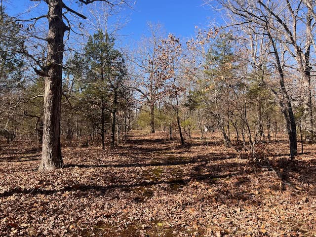 80 Acres For Sale in the Ozark Mountains.