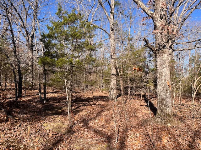 80 Acres For Sale in the Ozark Mountains.