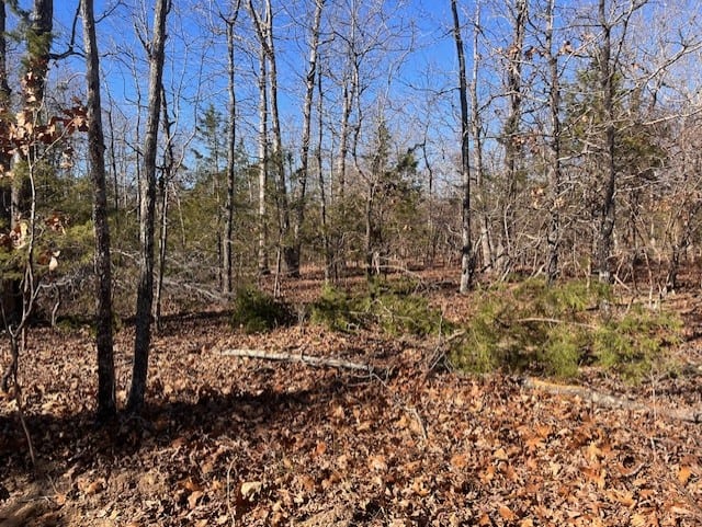 80 Acres For Sale in the Ozark Mountains.
