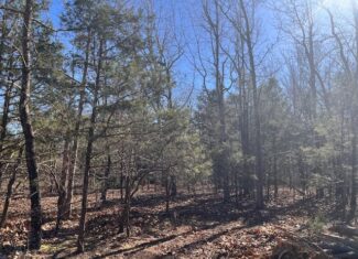 80 Acres For Sale in the Ozark Mountains.