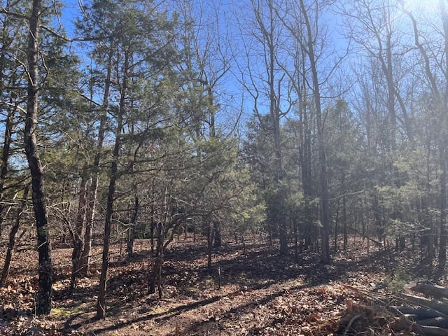 80 Acres For Sale in the Ozark Mountains.