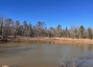 80 Acres For Sale in the Ozark Mountains.