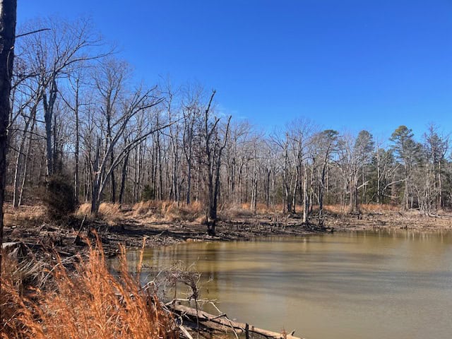 80 Acres For Sale in the Ozark Mountains.