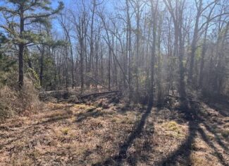 80 Acres For Sale in the Ozark Mountains.