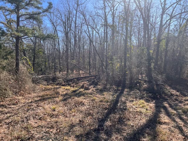 80 Acres For Sale in the Ozark Mountains.