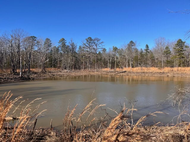 80 Acres For Sale in the Ozark Mountains.