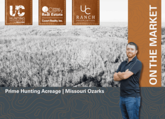 000 State Highway 137, Willow Springs, Missouri