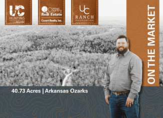 000 Inca Circle, Cherokee Village, Arkansas