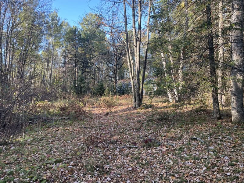 20 Acre Hunting Property w/ Quonset Shack For Sale in Kerrick MN