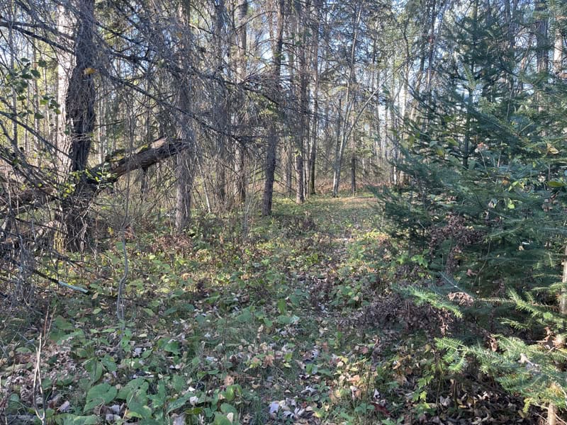 20 Acre Hunting Property w/ Quonset Shack For Sale in Kerrick MN