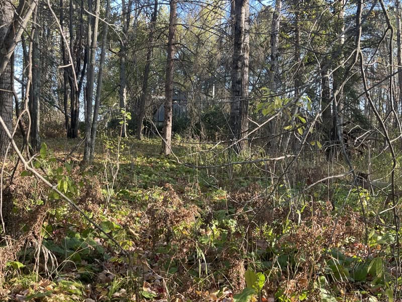 20 Acre Hunting Property w/ Quonset Shack For Sale in Kerrick MN