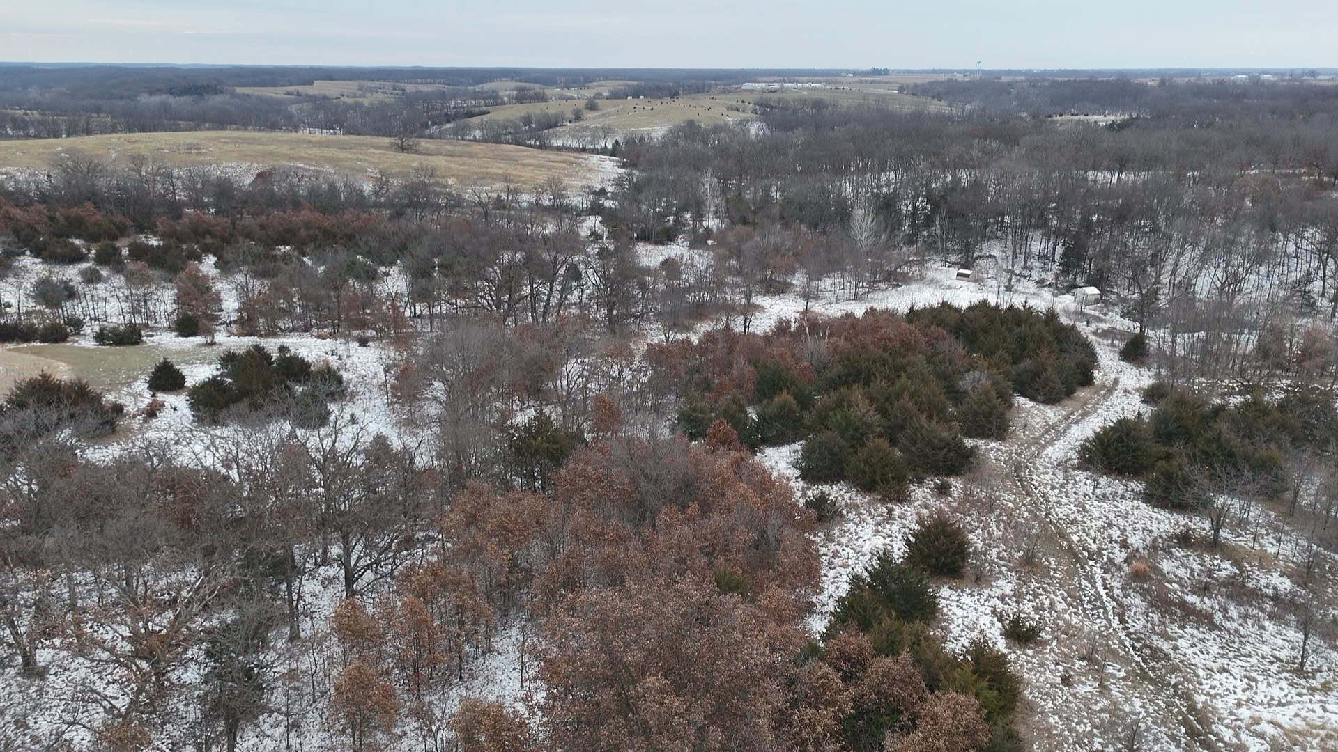 Ultimate Hunting Paradise: 45 M/L Acres in Davis Co