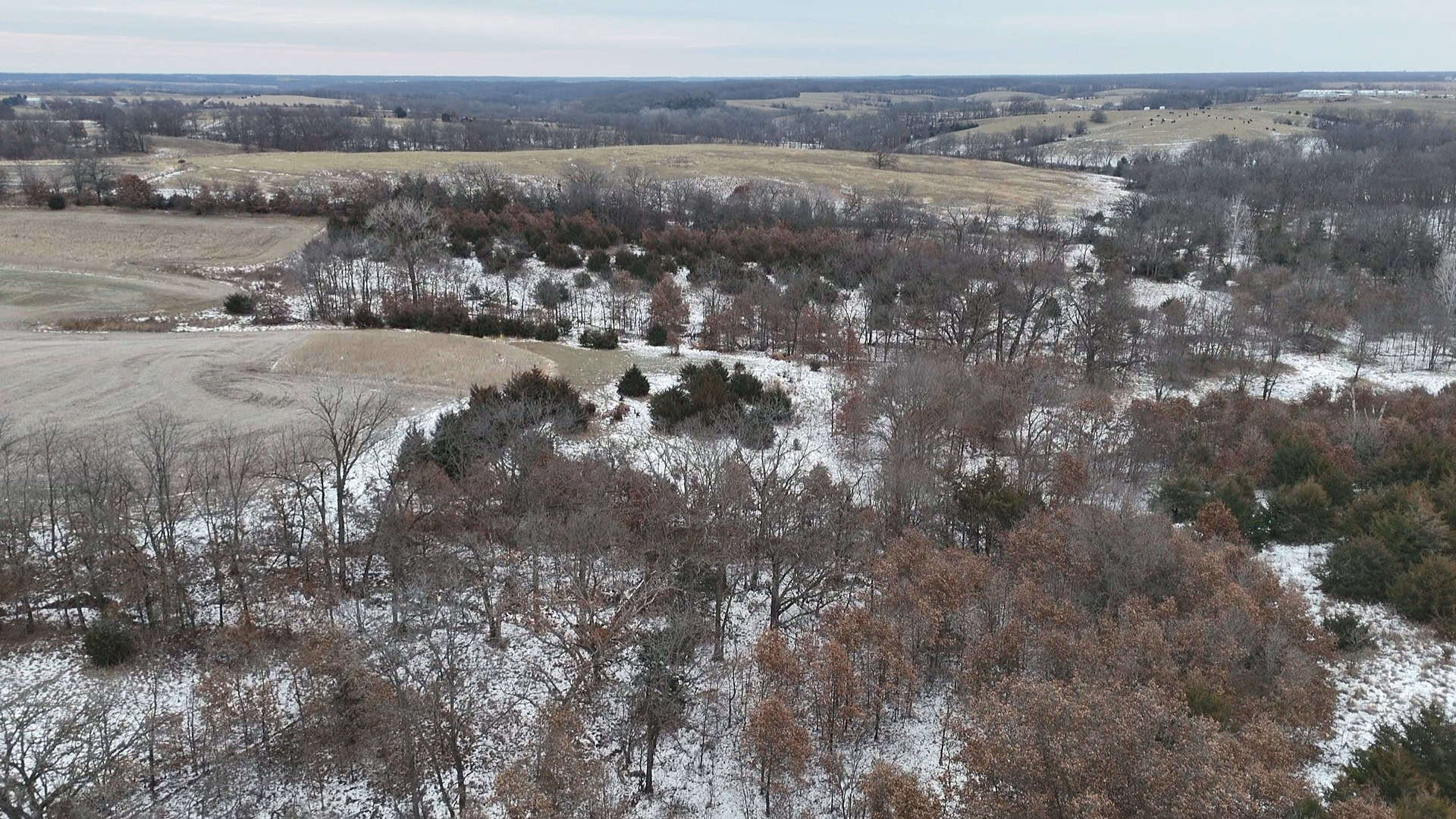 Ultimate Hunting Paradise: 45 M/L Acres in Davis Co