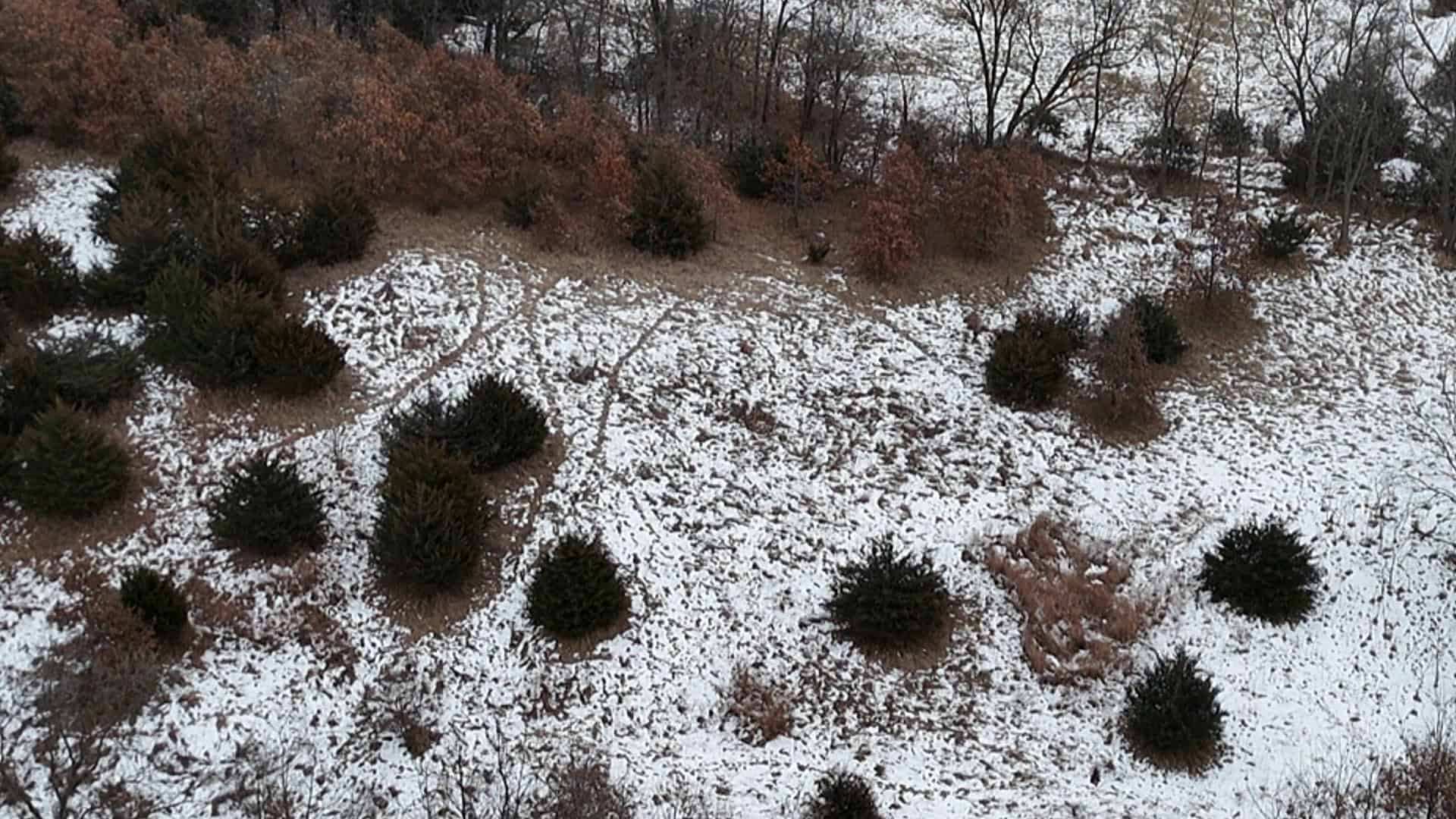 Ultimate Hunting Paradise: 45 M/L Acres in Davis Co