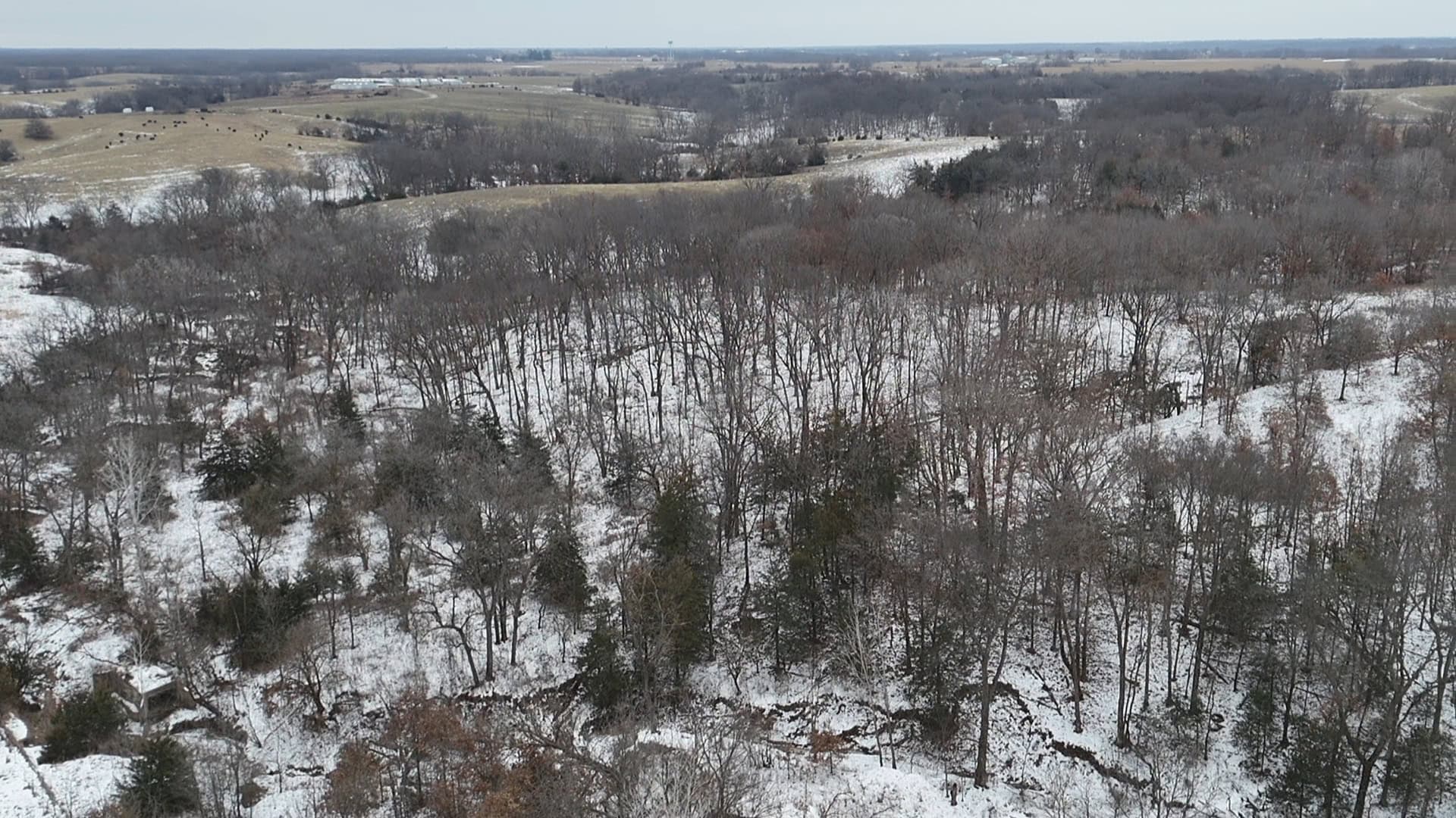 Ultimate Hunting Paradise: 45 M/L Acres in Davis Co