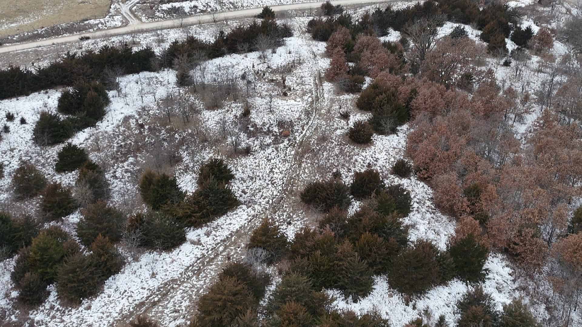 Ultimate Hunting Paradise: 45 M/L Acres in Davis Co