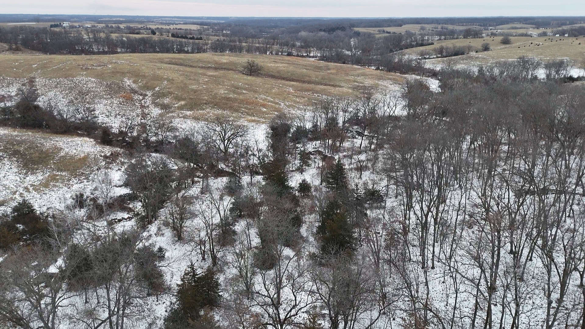 Ultimate Hunting Paradise: 45 M/L Acres in Davis Co