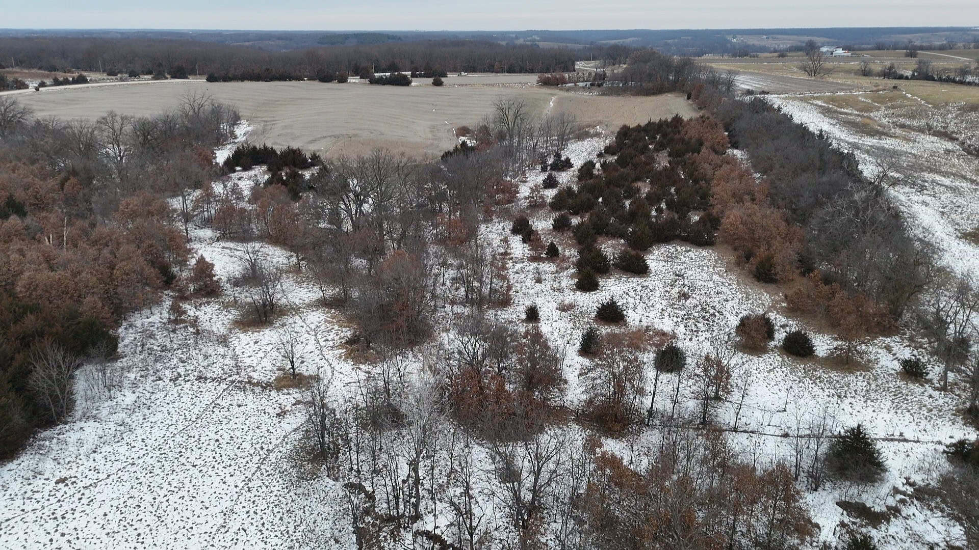 Ultimate Hunting Paradise: 45 M/L Acres in Davis Co