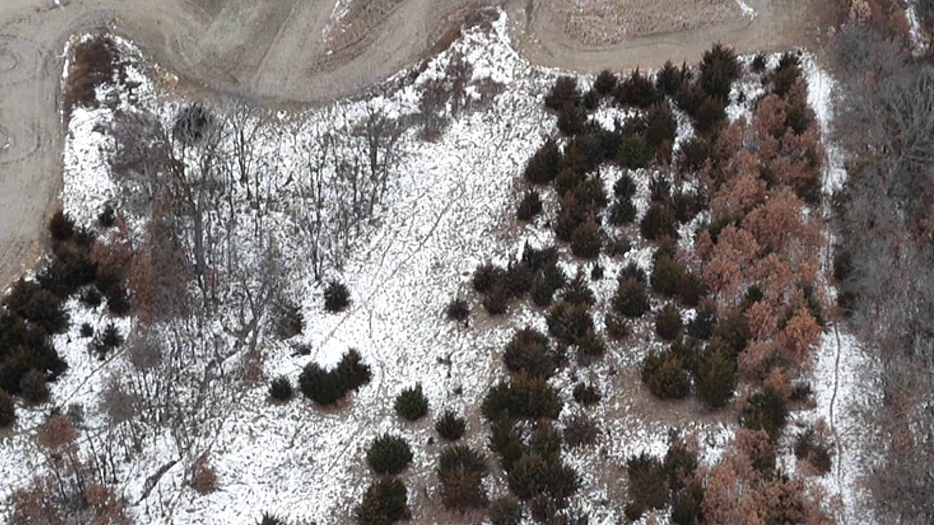 Ultimate Hunting Paradise: 45 M/L Acres in Davis Co