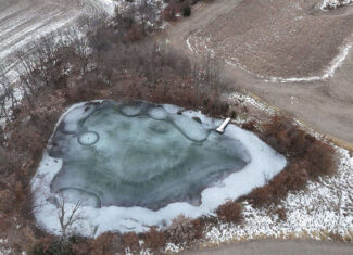 Ultimate Hunting Paradise: 45 M/L Acres in Davis Co