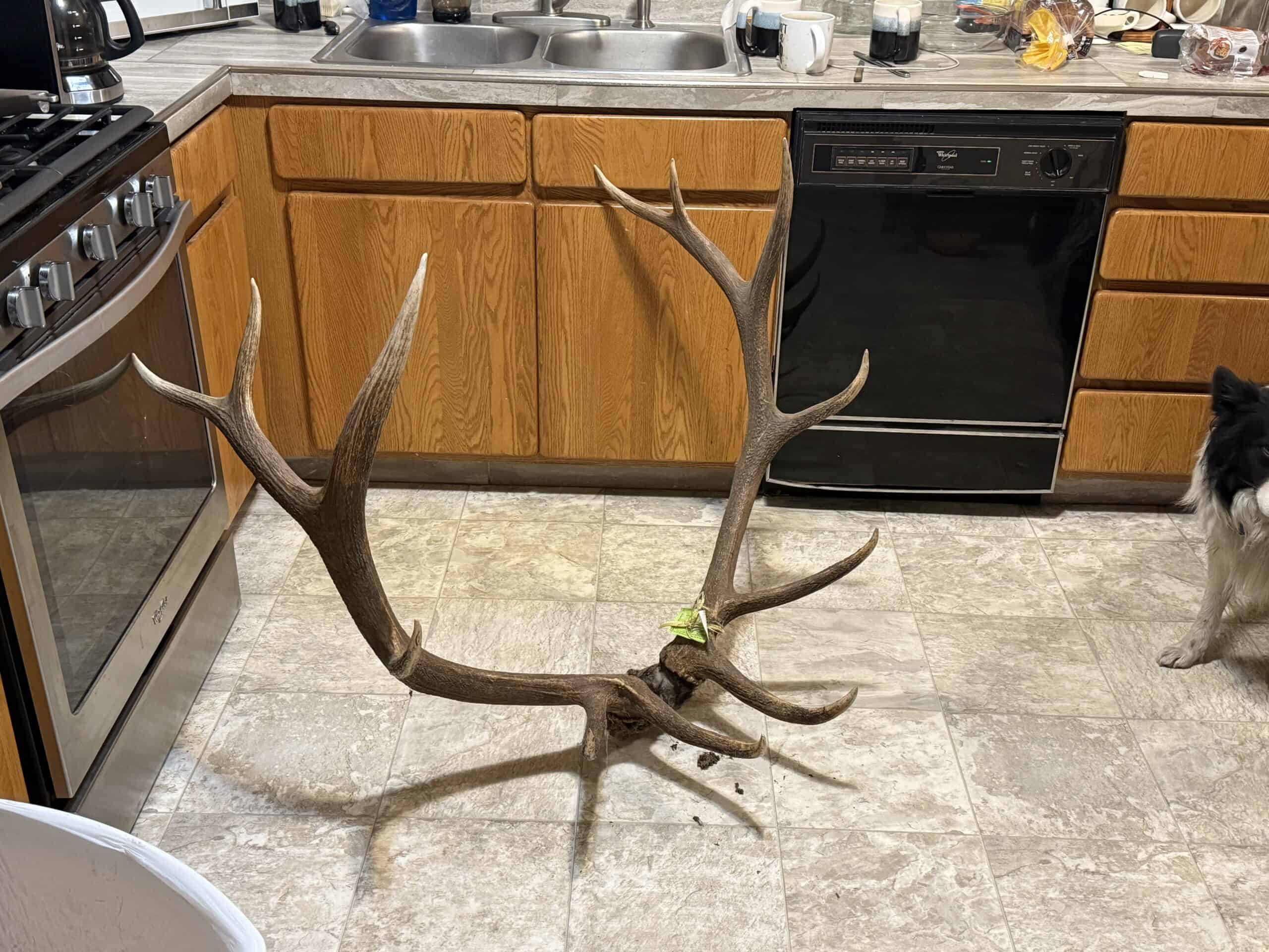 Colorado Hunting Property with Multiple Cabins