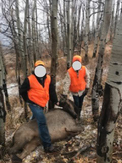Colorado Hunting Property with Multiple Cabins