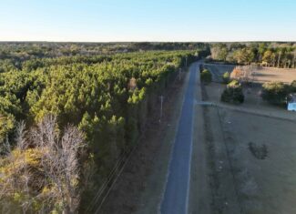 Nestled right in the heart of Hampton County, this 8-acre parcel is a wooded haven!